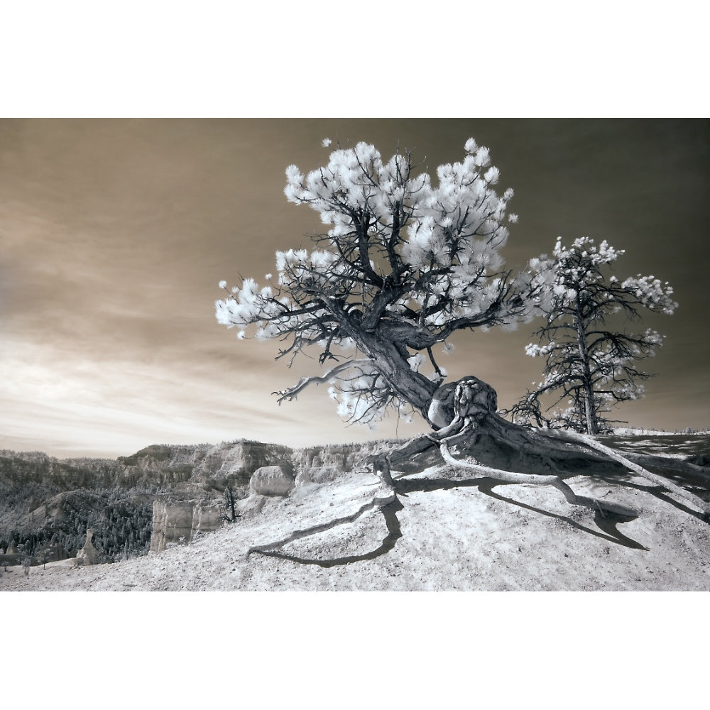 Bryce Canyon