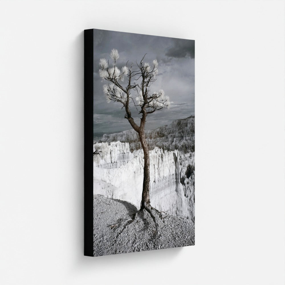 Lone Tree Canyon — Bryce Infrared Fine Art