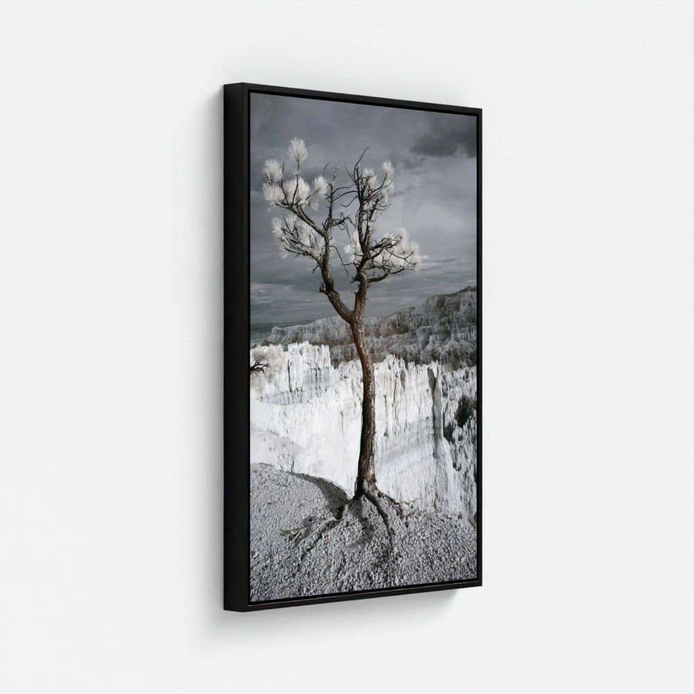 Lone Tree Canyon — Bryce Infrared Fine Art