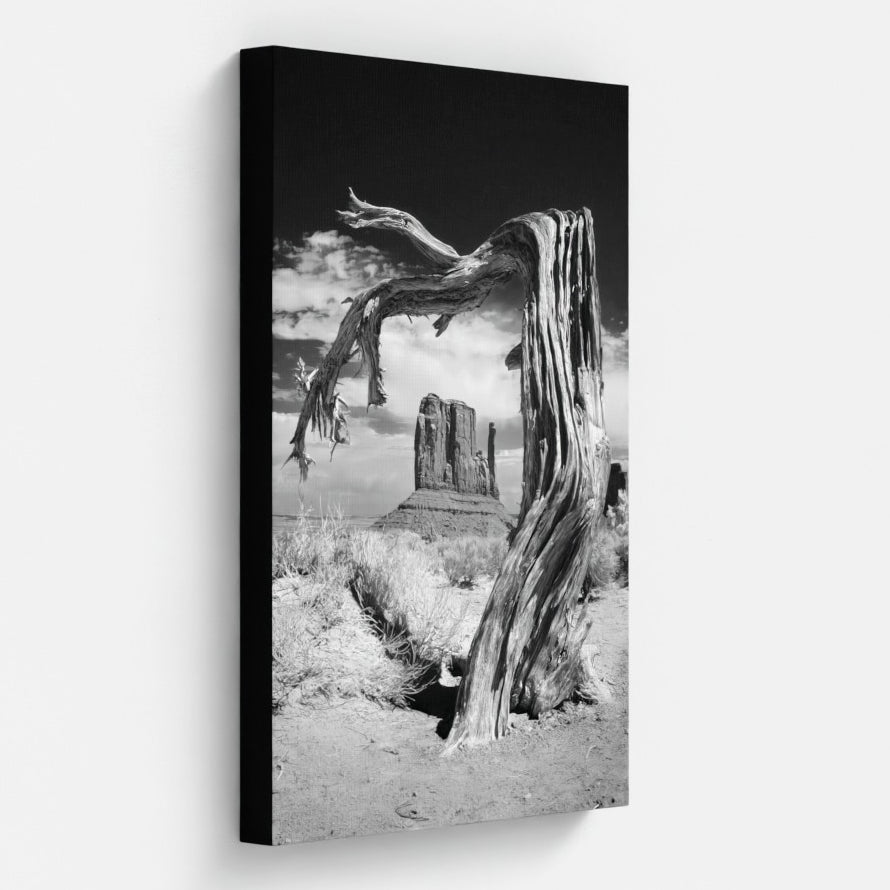 Remnants — Monument Valley Infrared