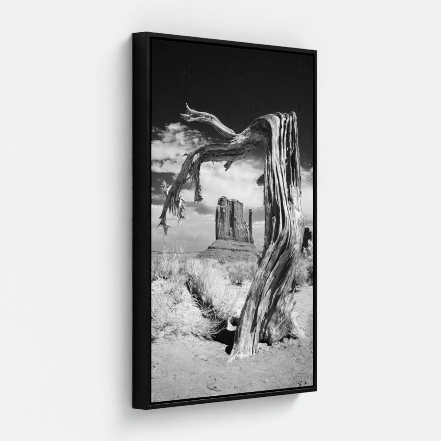 Remnants — Monument Valley Infrared
