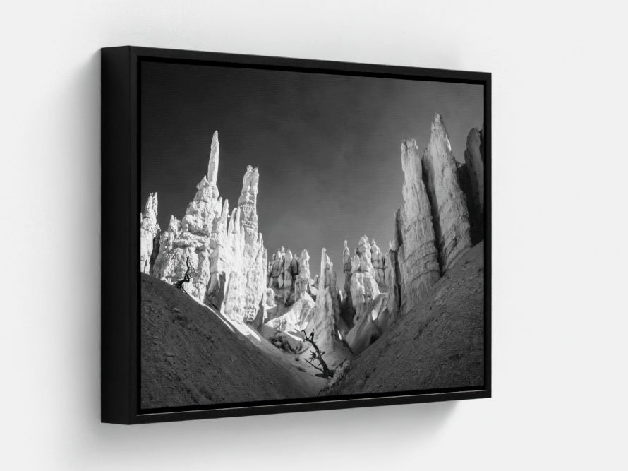 The Guarded Tree — Bryce Canyon Infrared