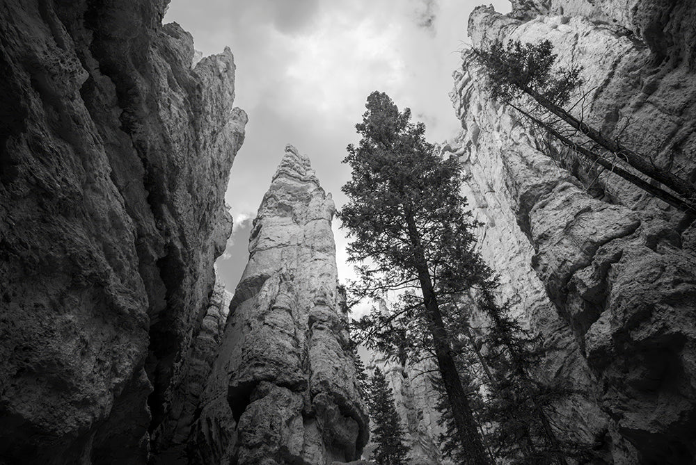 Other Voices — Bryce Canyon Fine Art Print