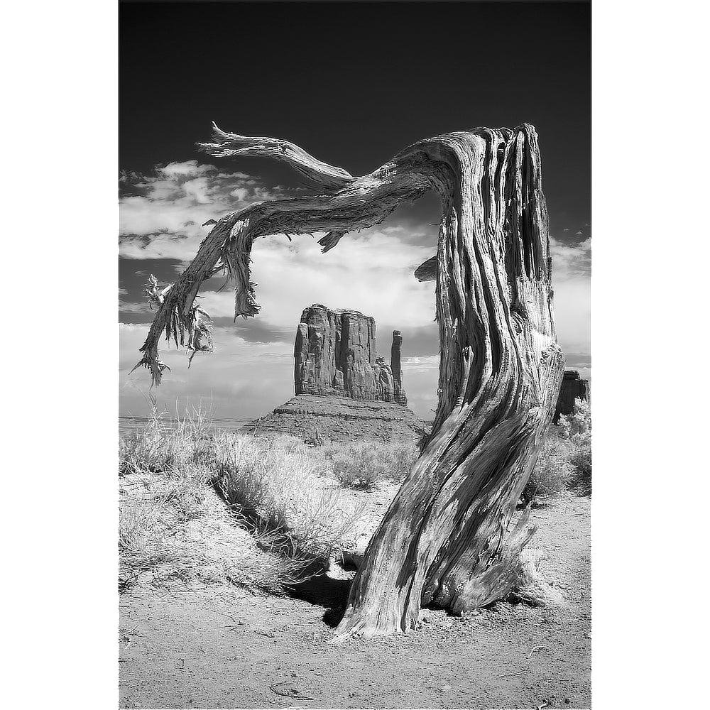 Remnants — Monument Valley Infrared