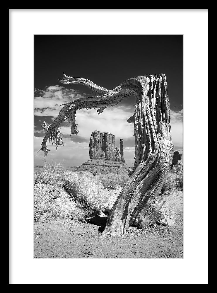 Remnants — Monument Valley Infrared
