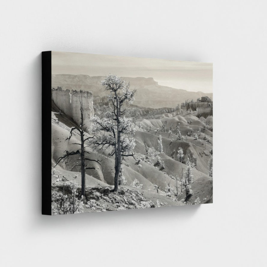Valley of Light — Bryce Canyon Infrared