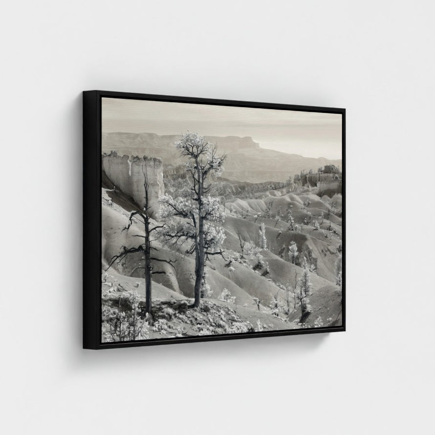 Valley of Light — Bryce Canyon Infrared