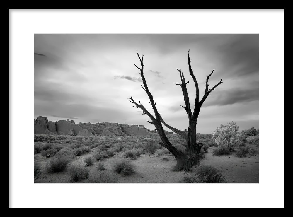 Better off Dead — Arches Infrared Fine Art